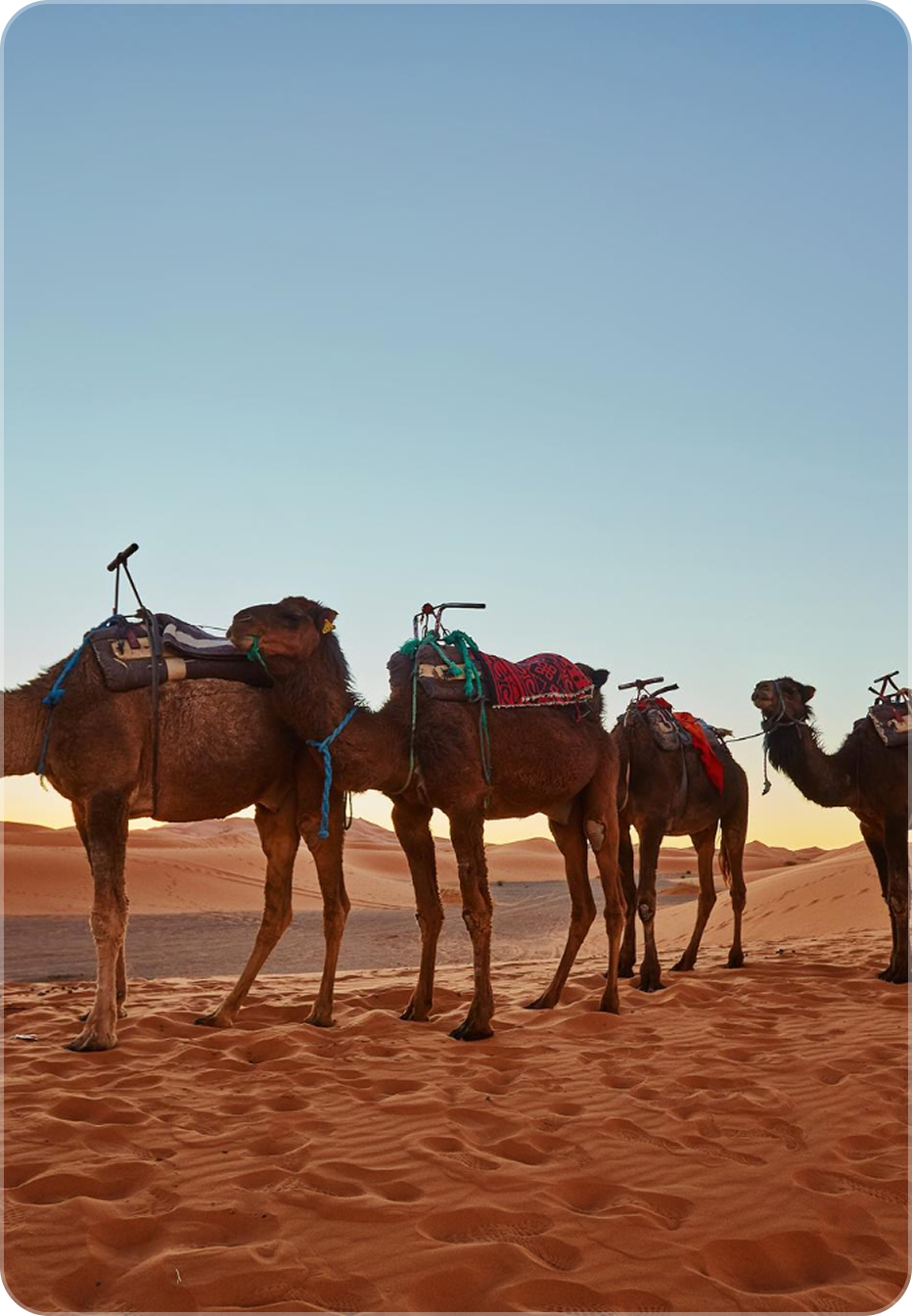 Jebel Wadi