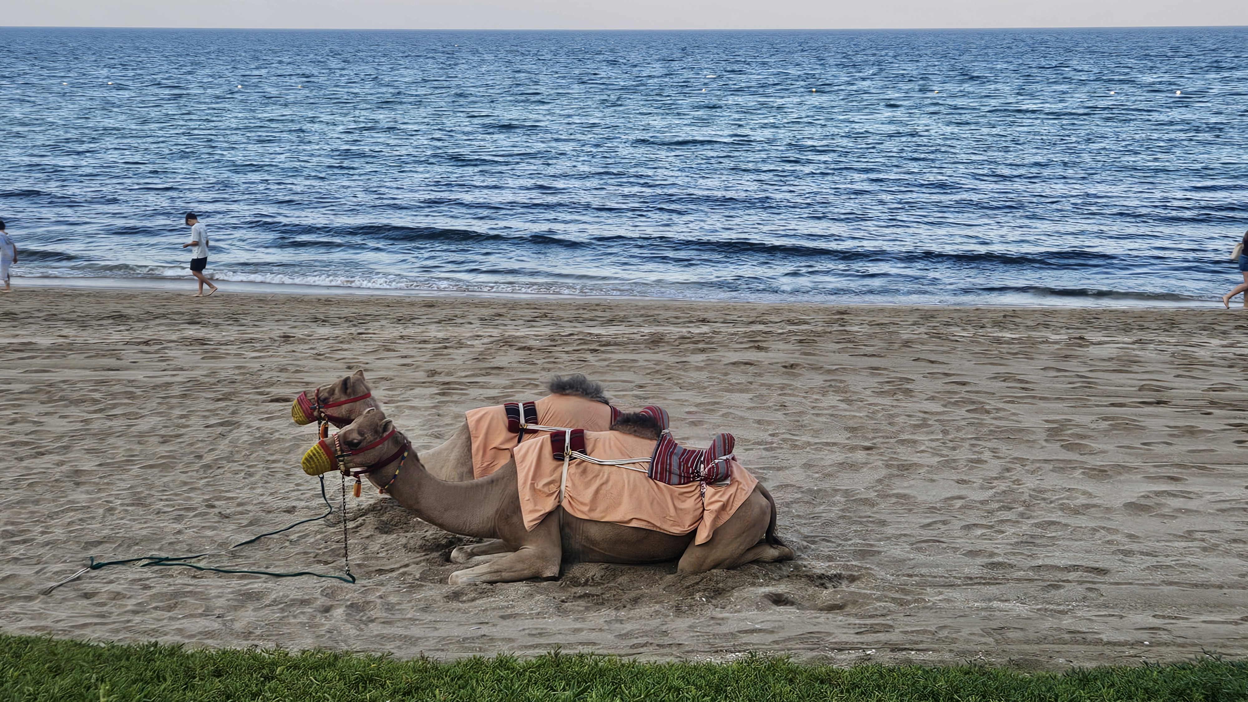 OMAN Memory 1