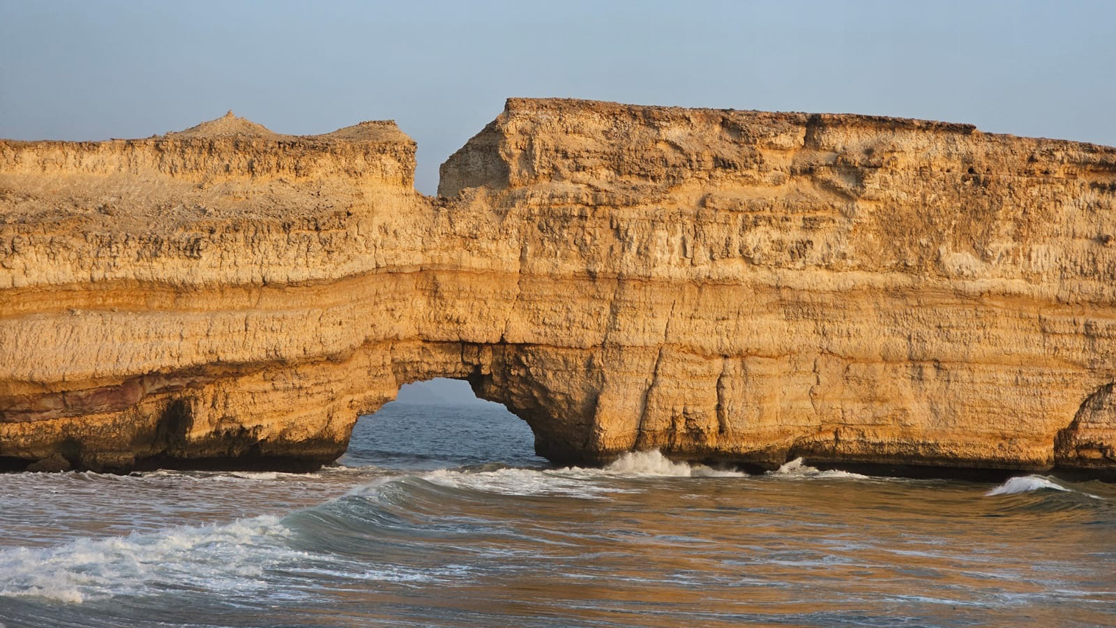 OMAN Memory 5