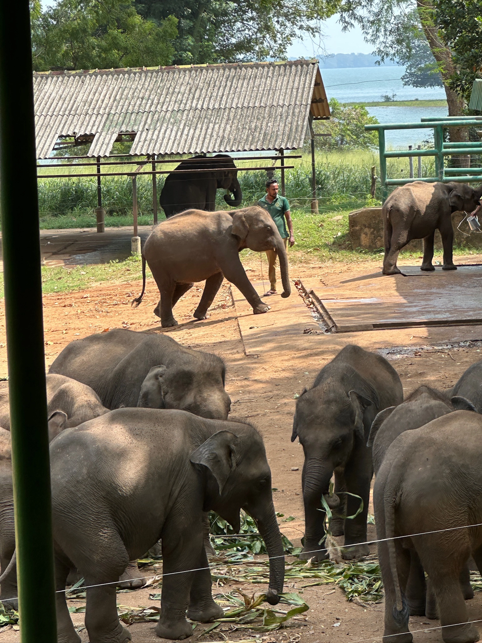 SRI LANKA Memory 6